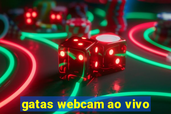 gatas webcam ao vivo